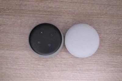 nest mini vs echo dot