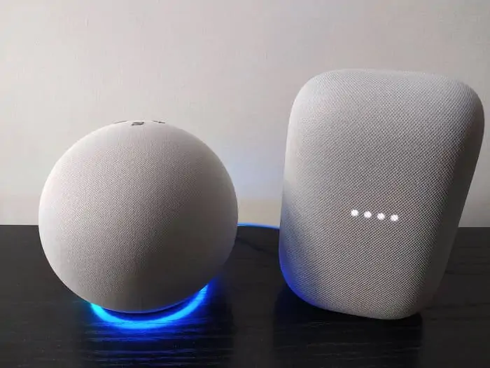 alexa echo vs google nest