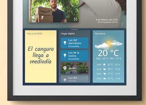 echo show 15 funciones