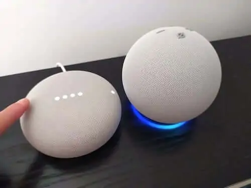 echo dot vs nest mini