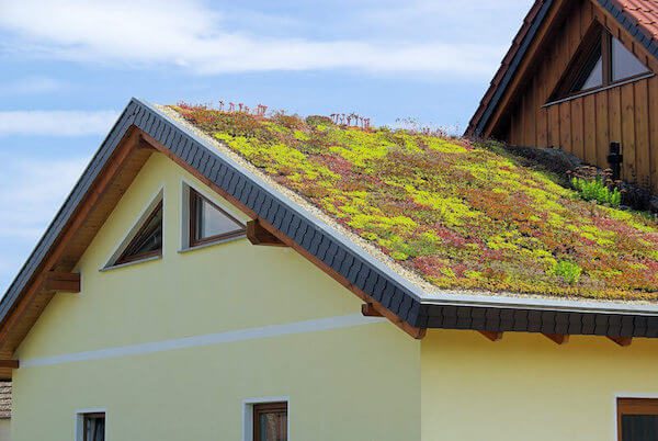 techo verde refrescar casa sin aire acondicionado